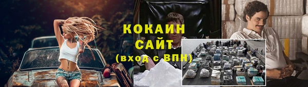 индика Арсеньев