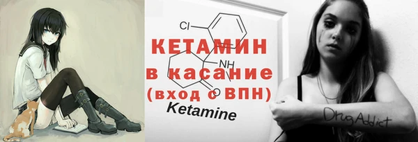 индика Арсеньев