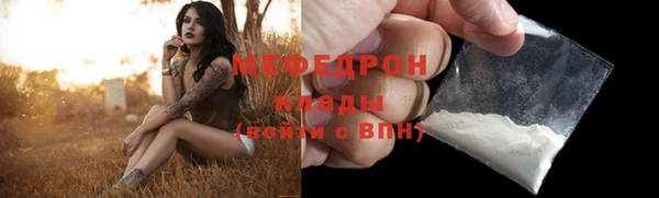 индика Арсеньев