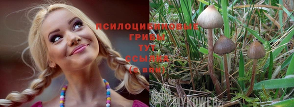 метамфетамин Армянск