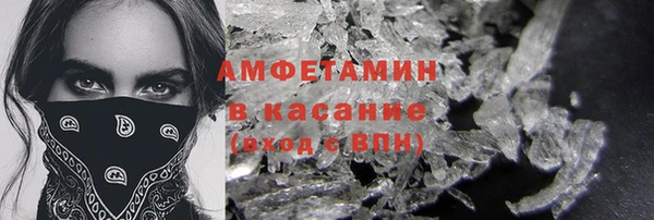 индика Арсеньев